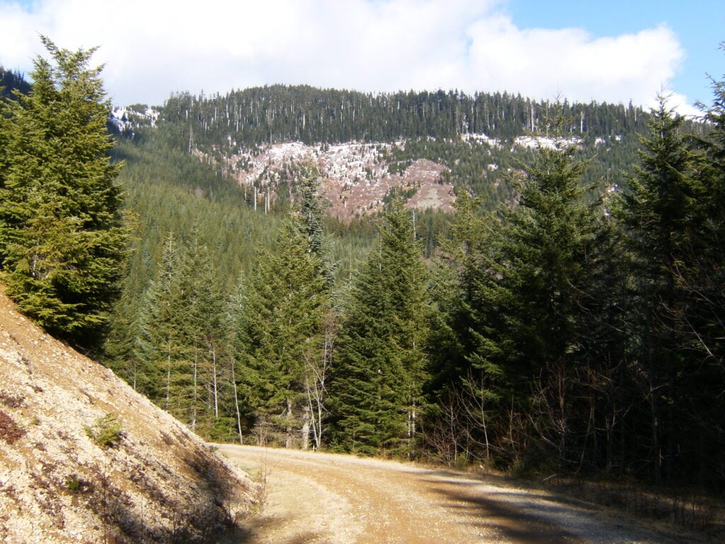 Exploring while on a family drive
