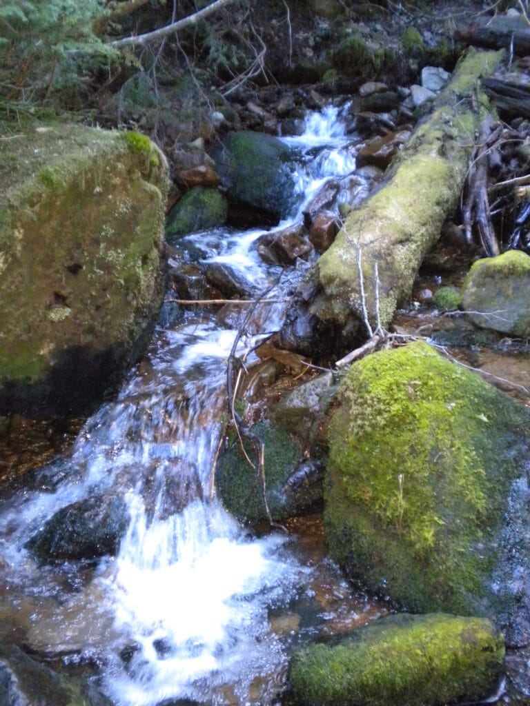 Going for a hike to see waterfalls