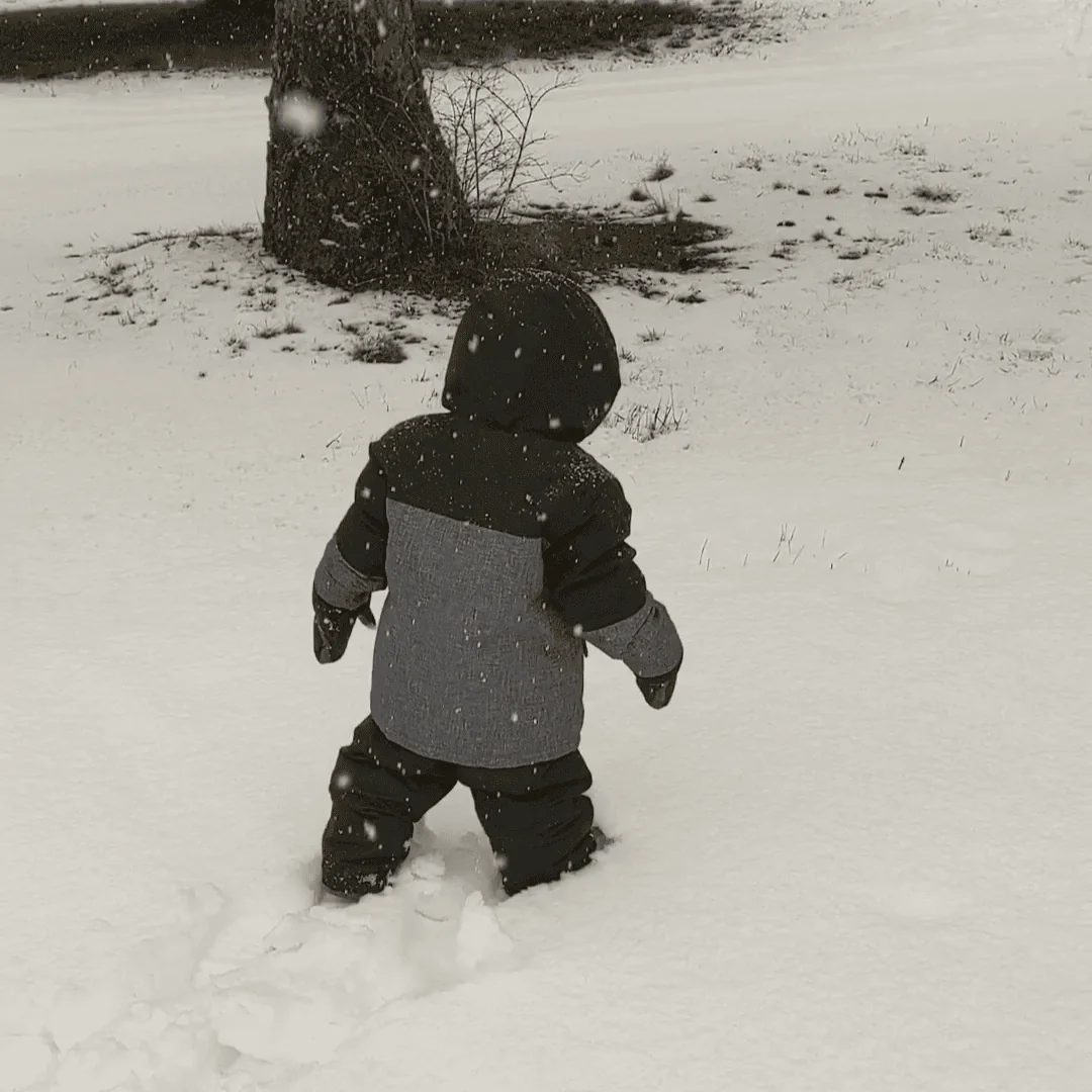 Learning to live through winter in a different climate