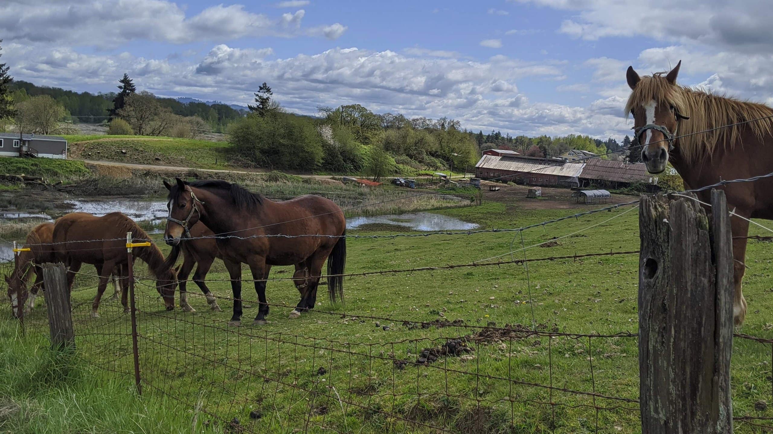 February 8 2025 - Meeting neighbors