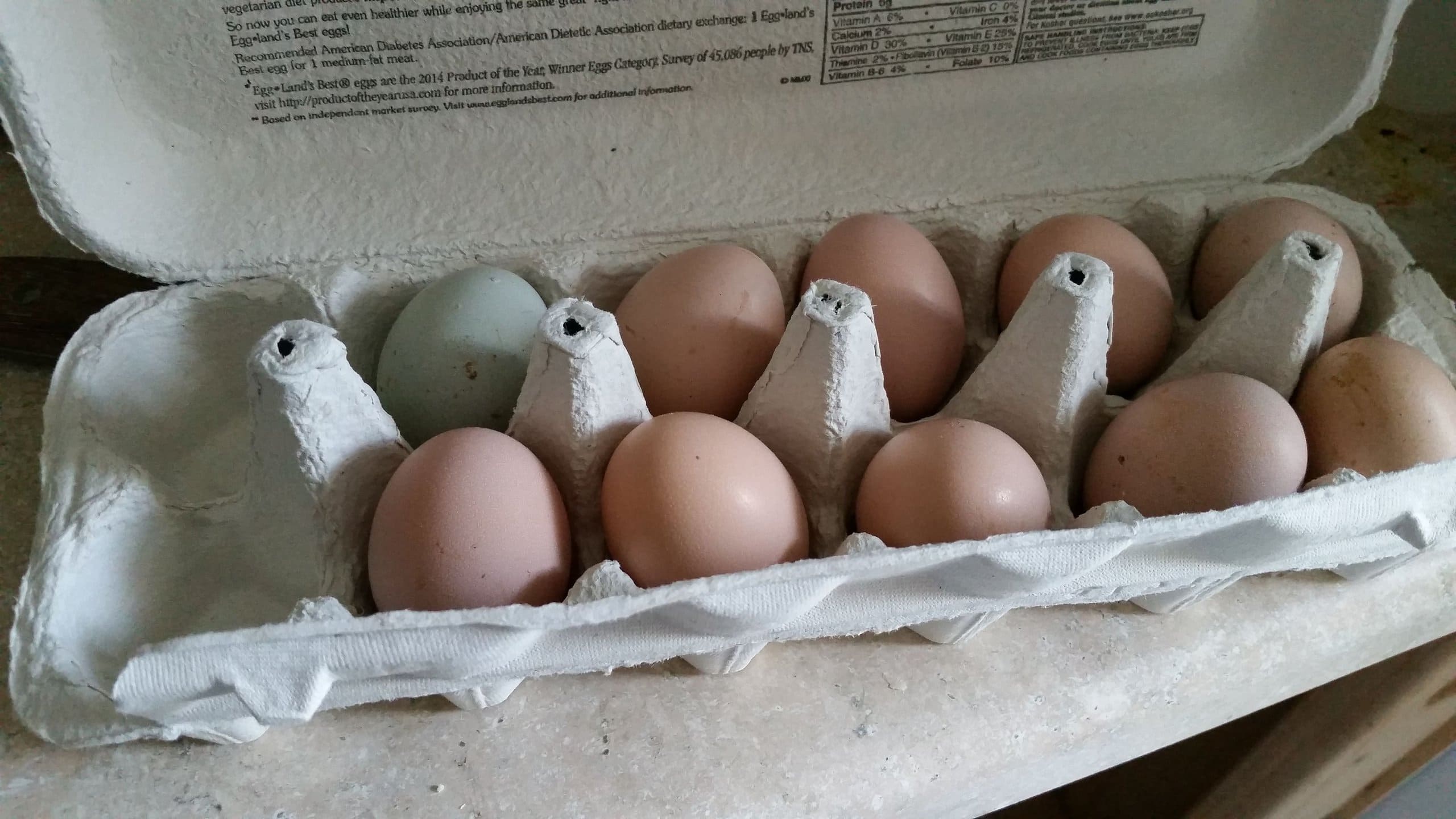 January 10 2025 - Farm Eggs
