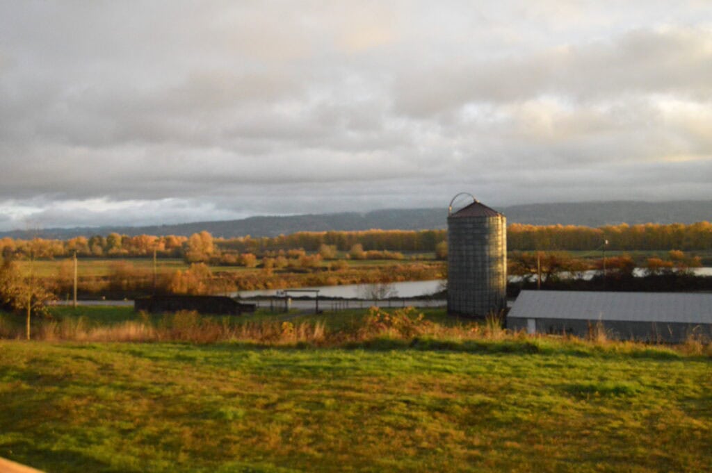 The view on a homestead can be stunning