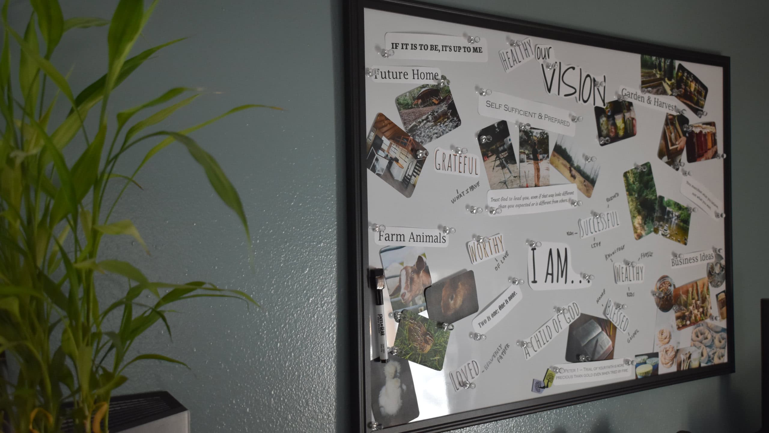 March 1 2025 - Have a vision