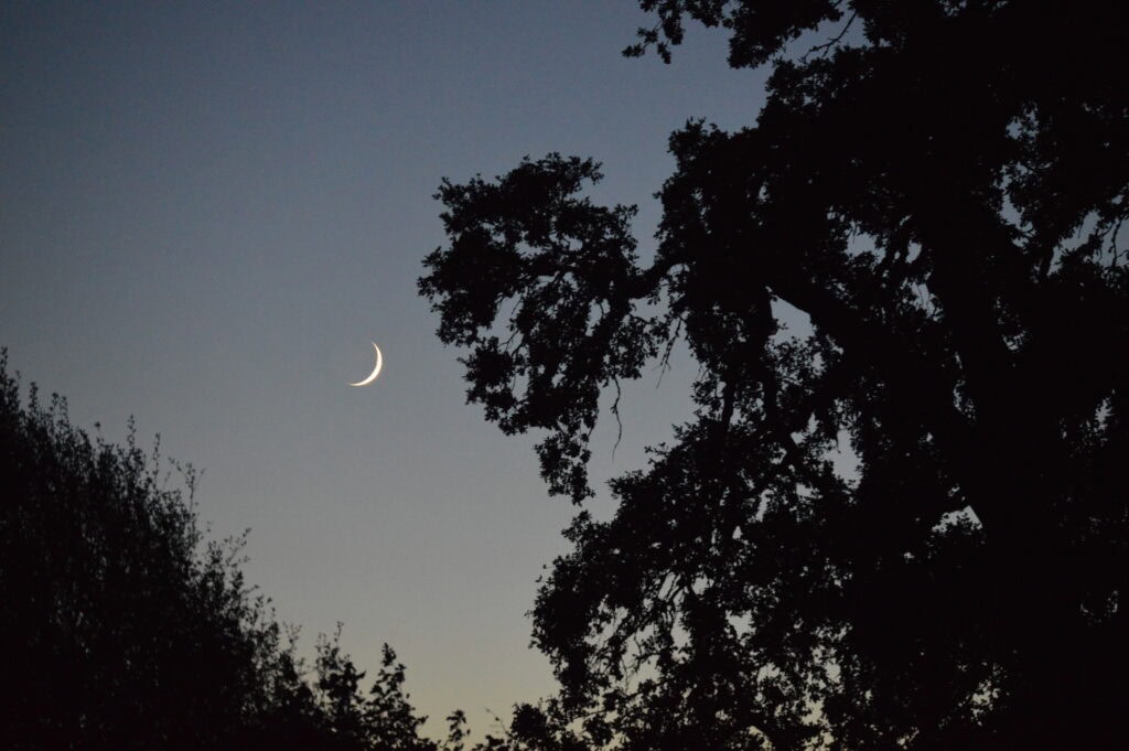 Be mindful of the seasons