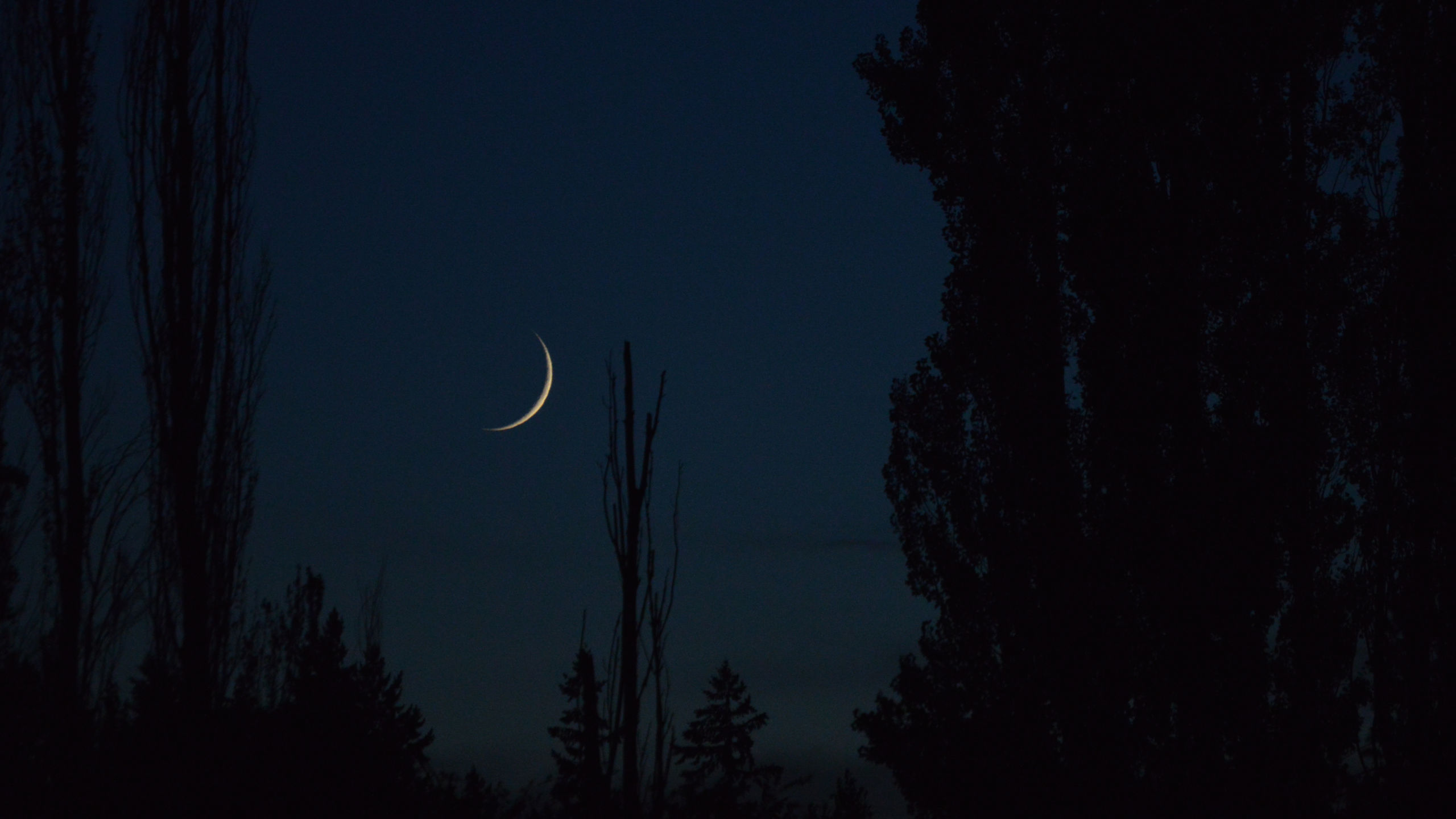 mar 29 darkness falls