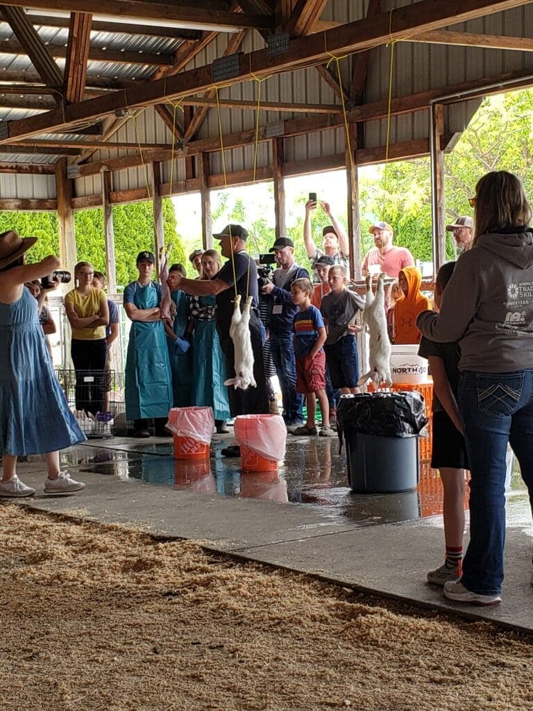 Group lessons help everyone learn - Learning to butcher rabbits