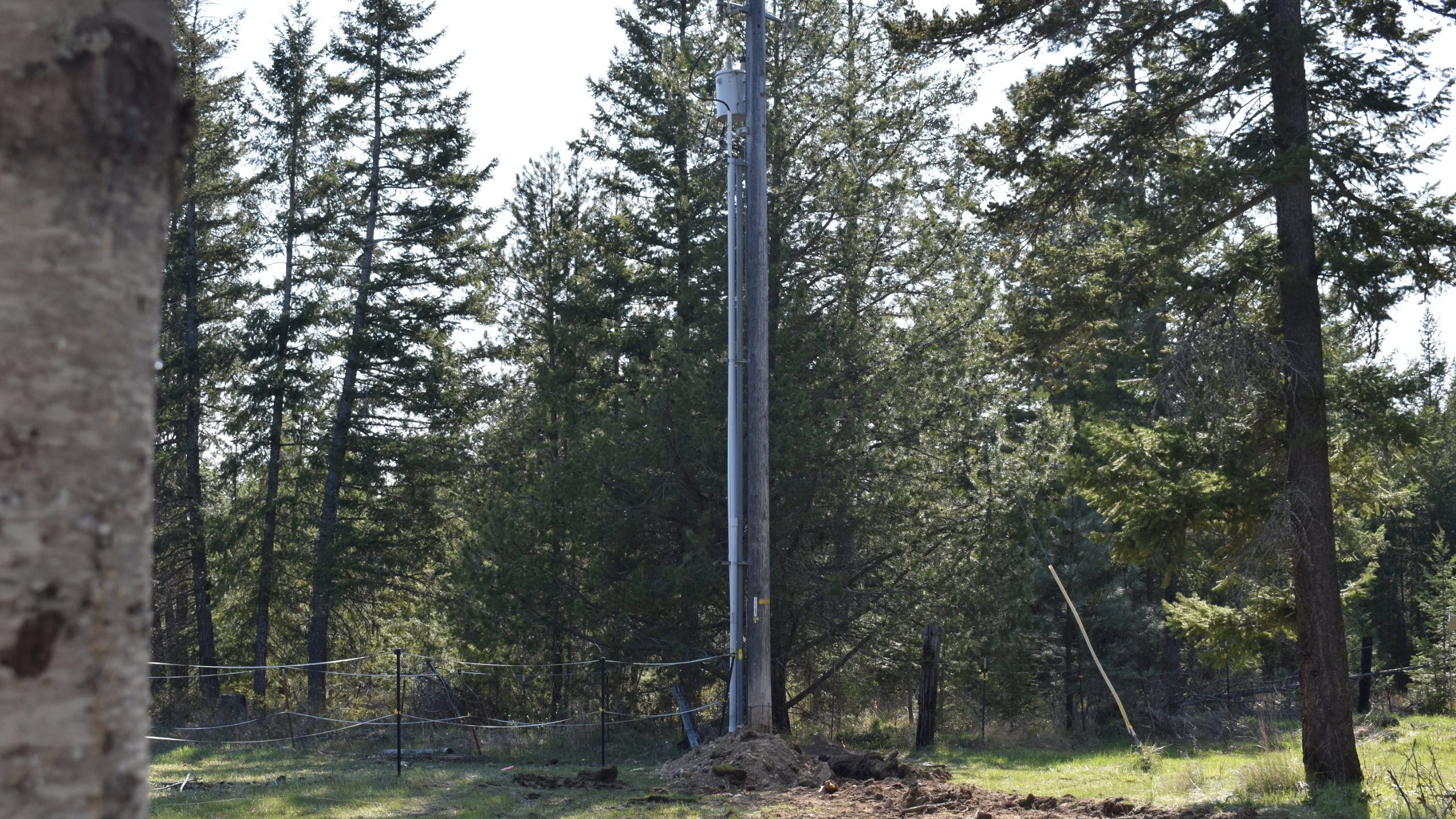 Power Pole Work