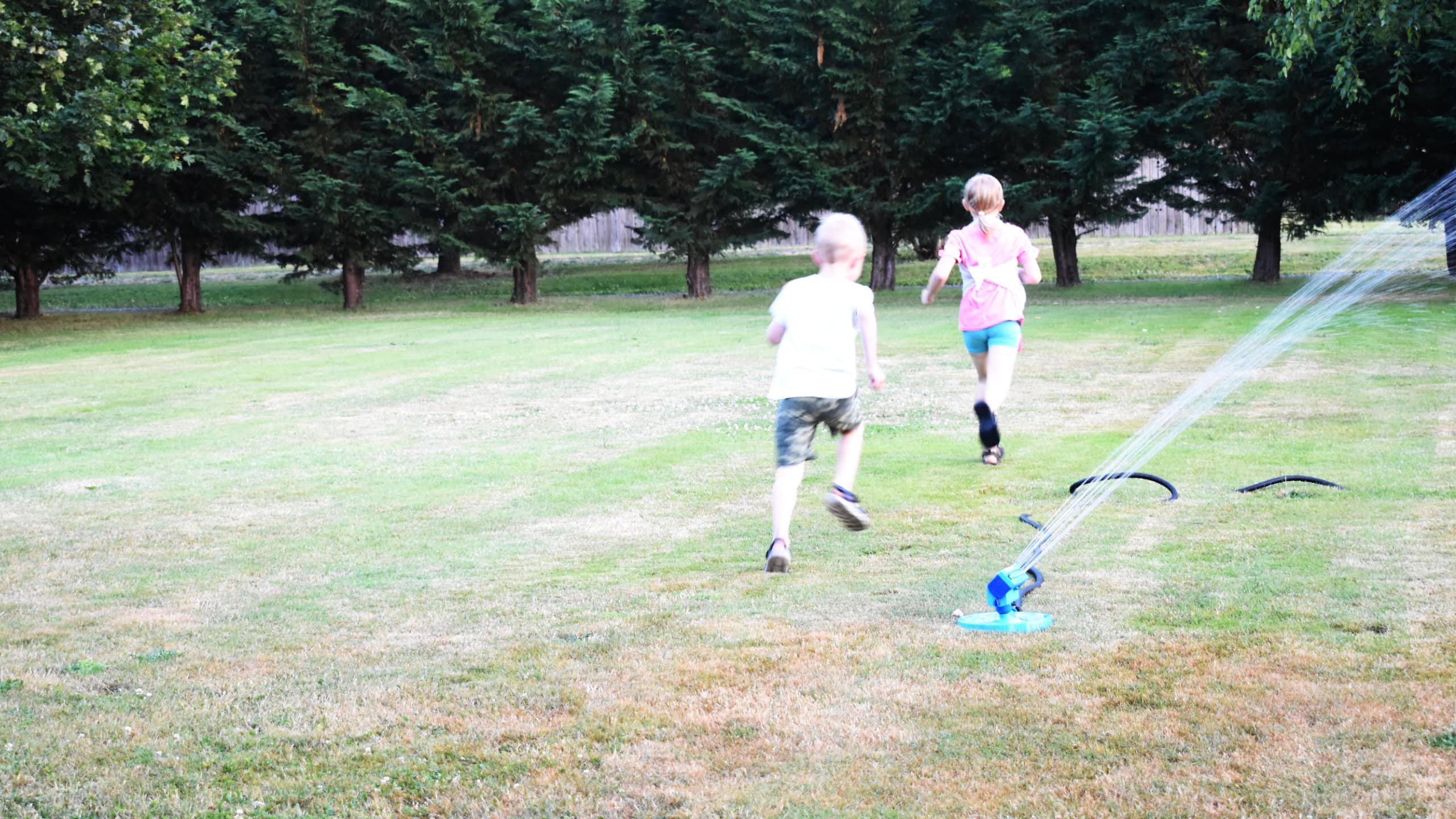 who will win the race