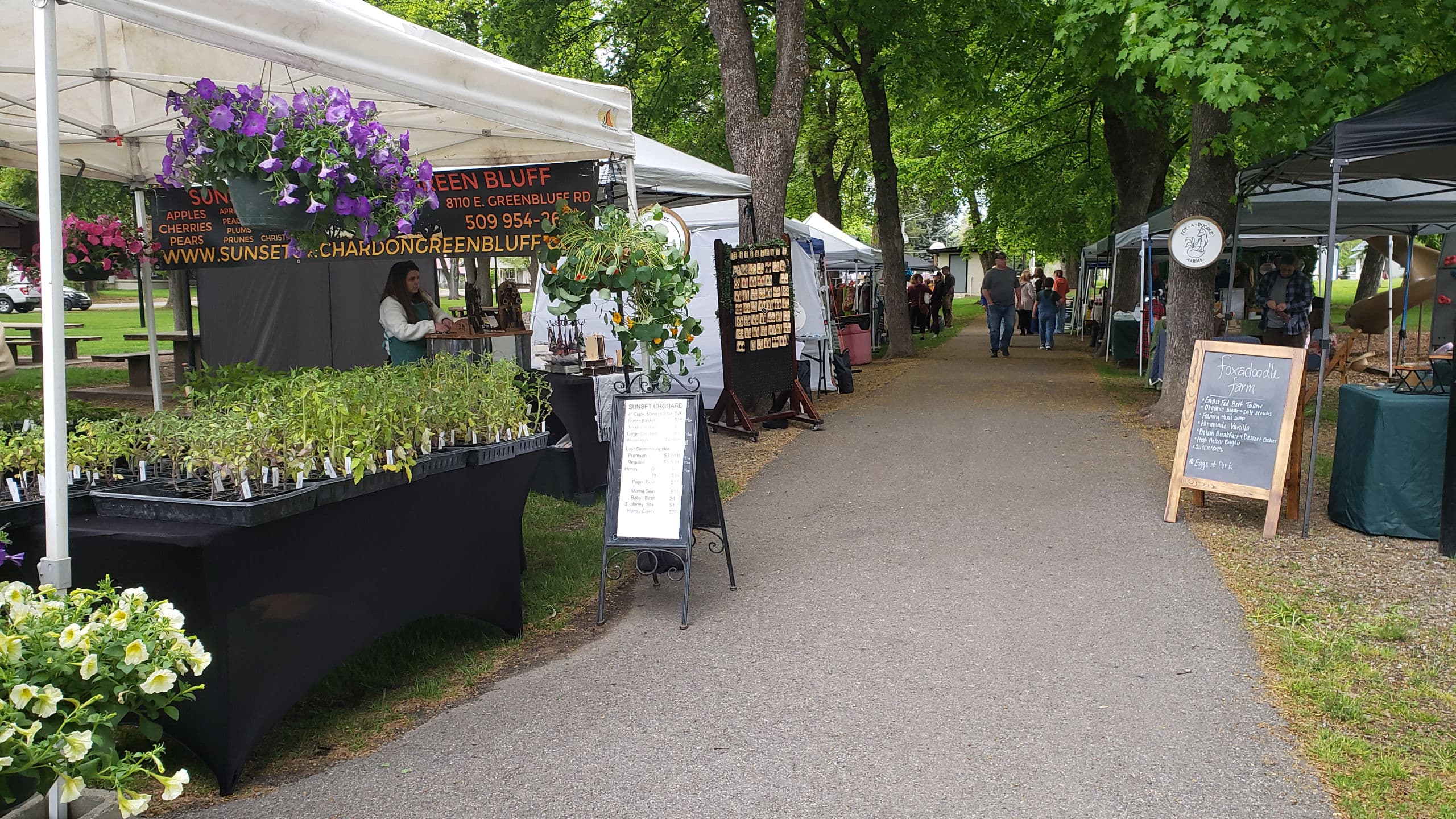 Farmers market in park