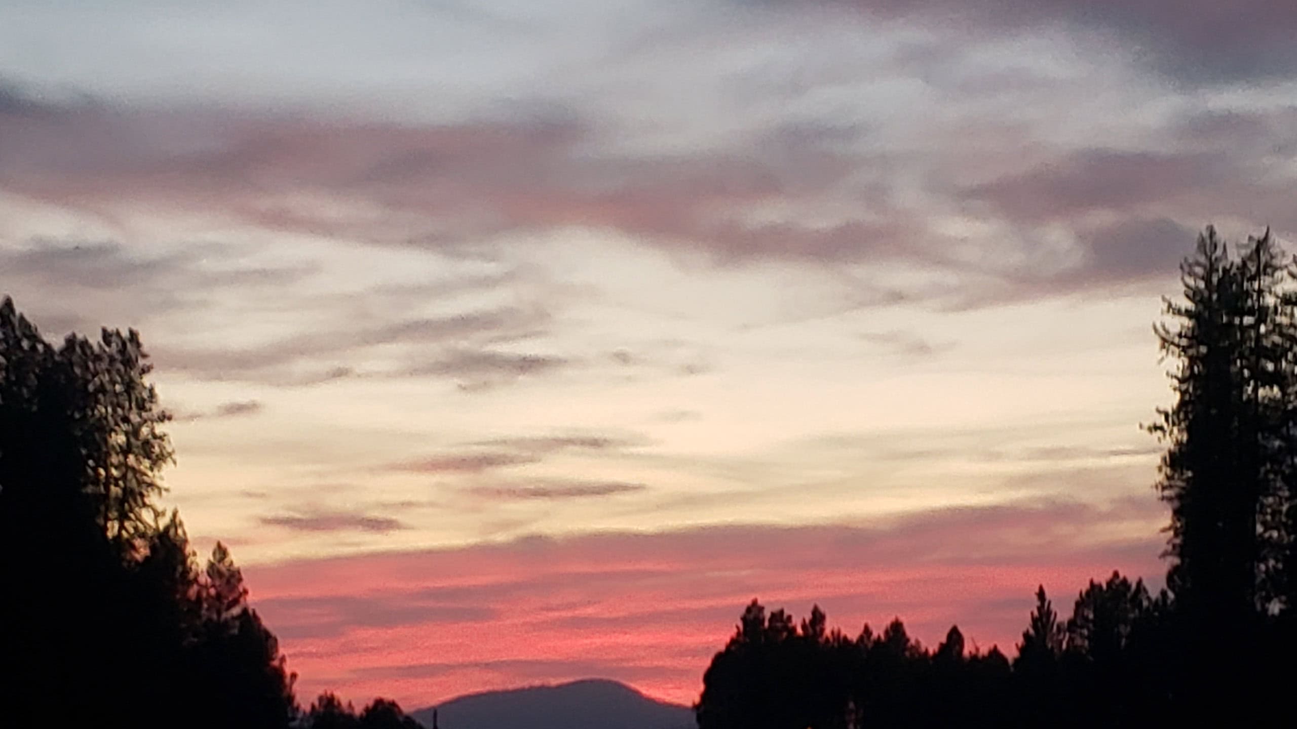 Finding peace in nature