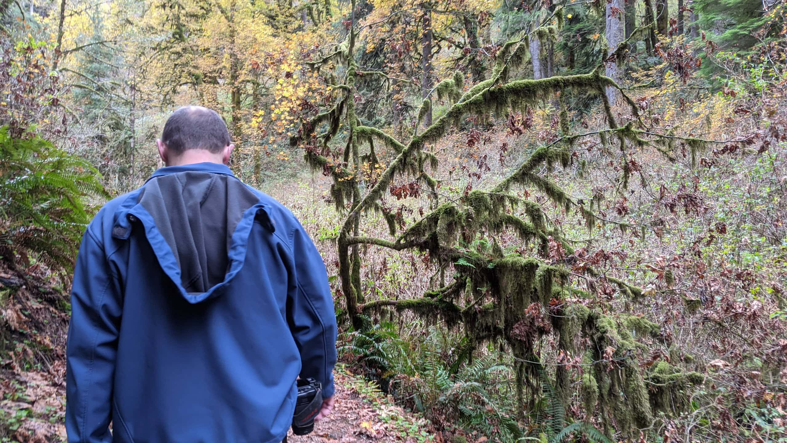 Nov 8 - Changing Directions