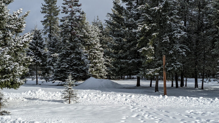 First snow on the homestead