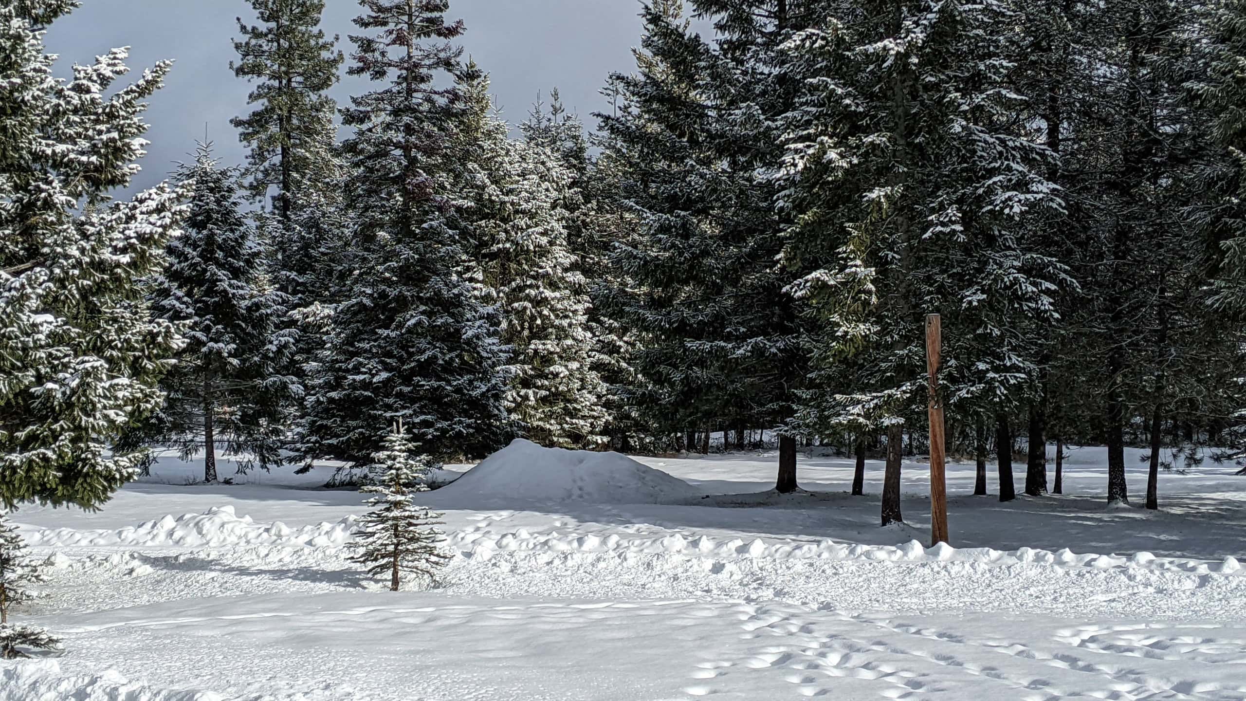 First snow on the homestead