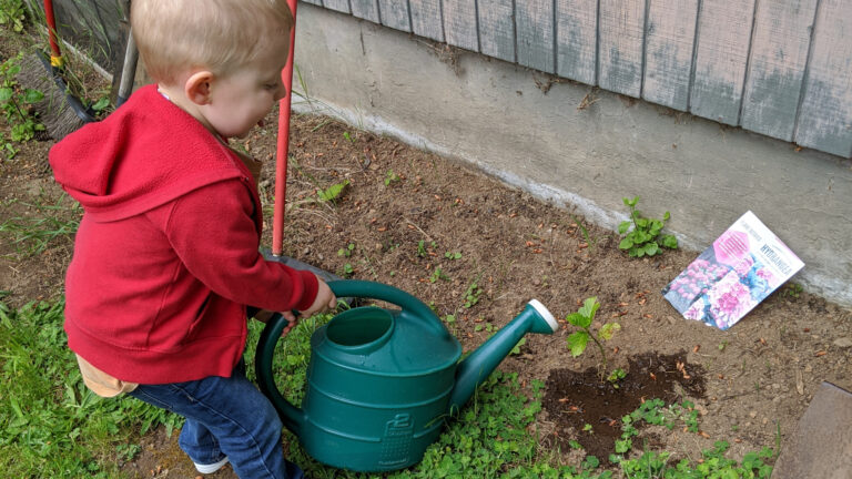 Growing a garden or a community