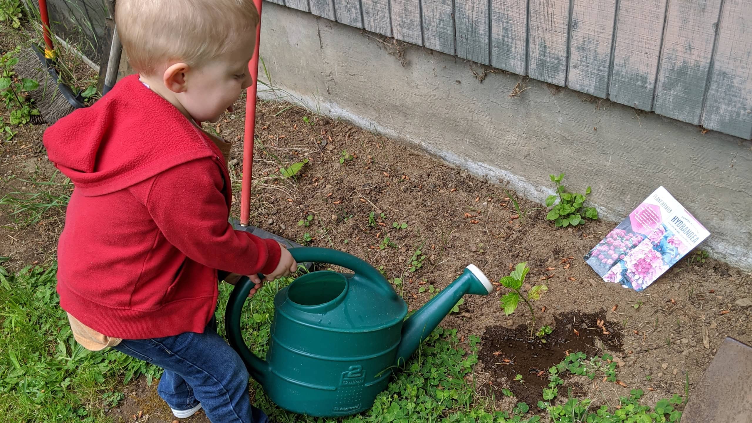 Growing a garden or a community