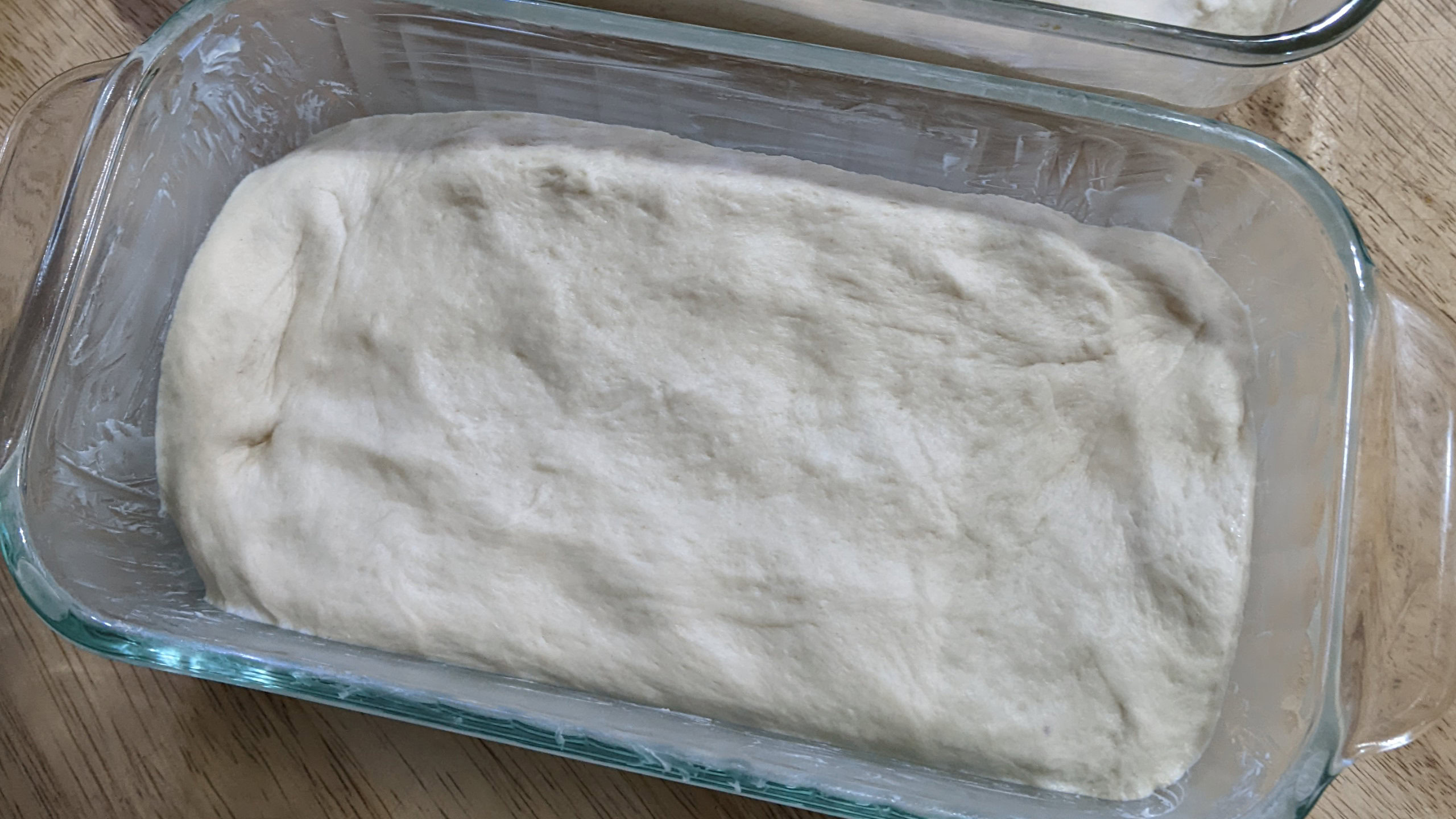 A loaf of bread dough in a glass bread pan rising