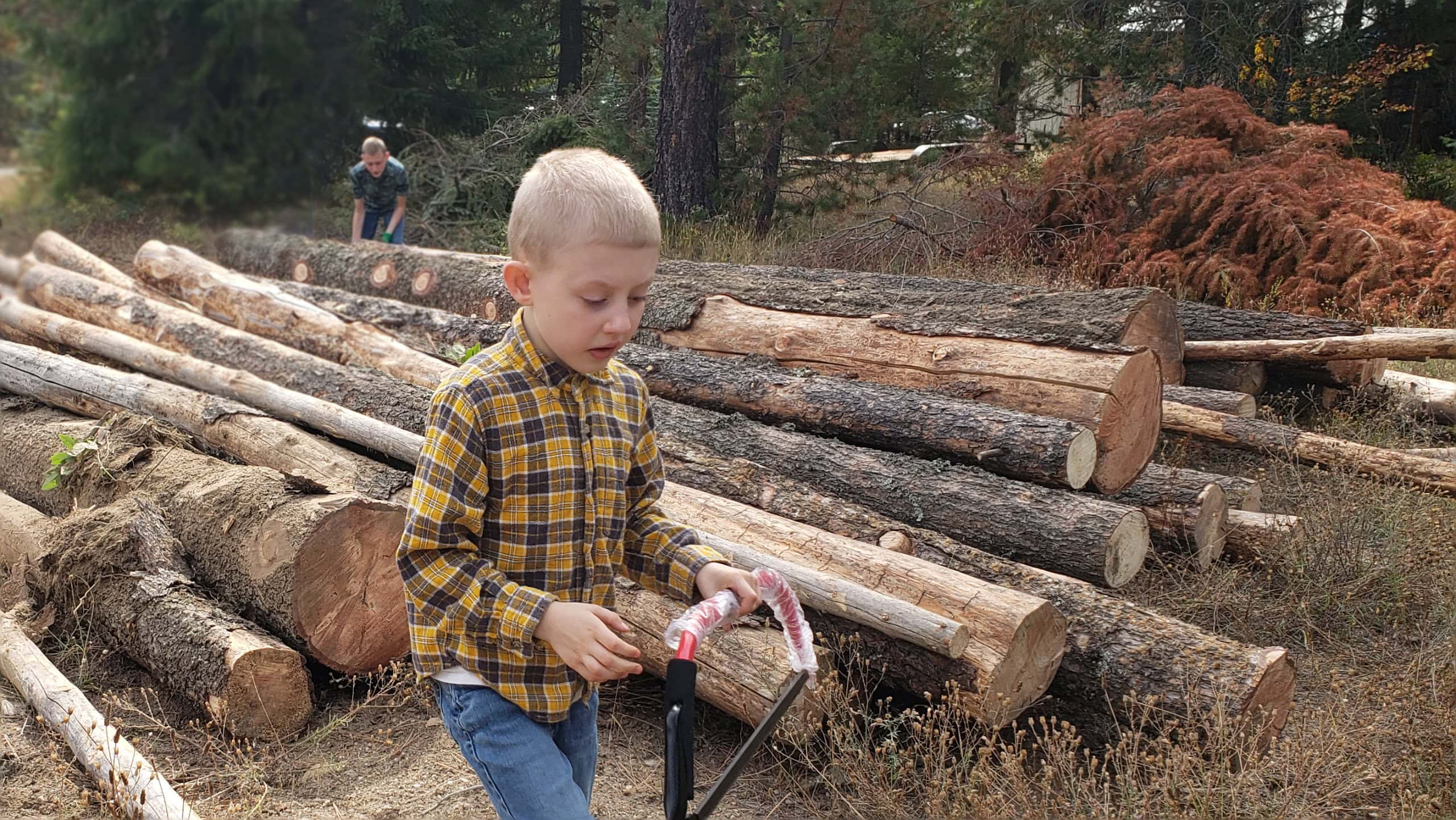 Two children working together to move and cut logs for firewood on a North Idaho homestead.