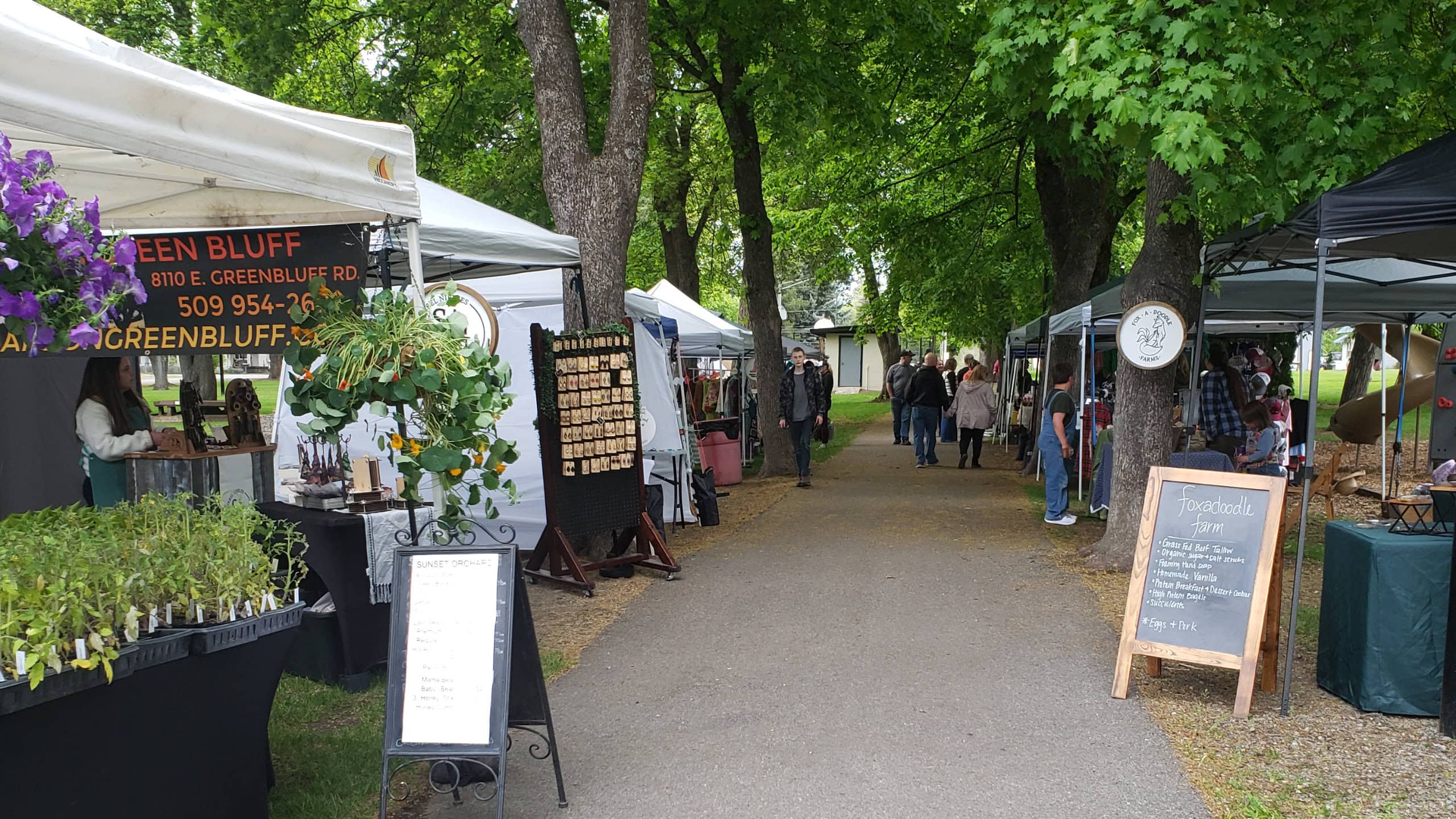 Outdoor local farmers market with white vendor tents, green trees, and garden starts on display.