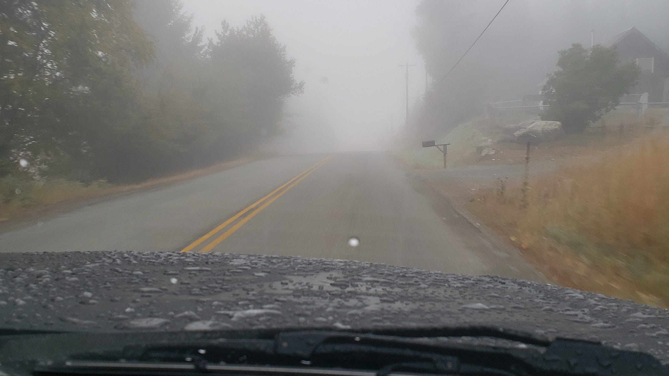 Morning fog along a rural country road out vehicle front window