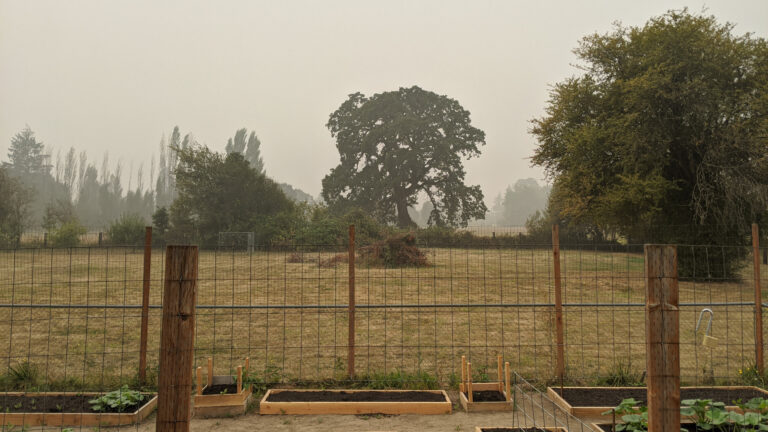 View of the homestead with smoke in the distance