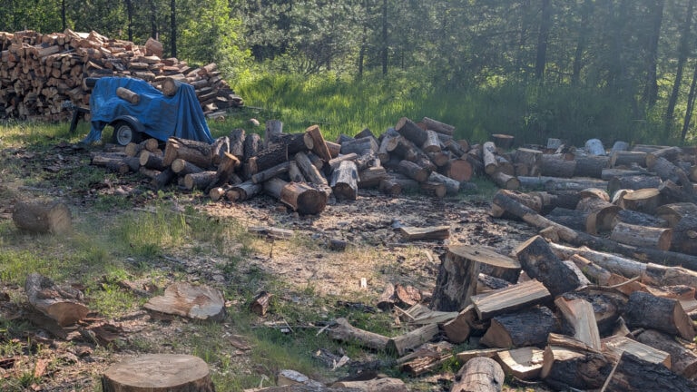 Community wood pile and wood splitter