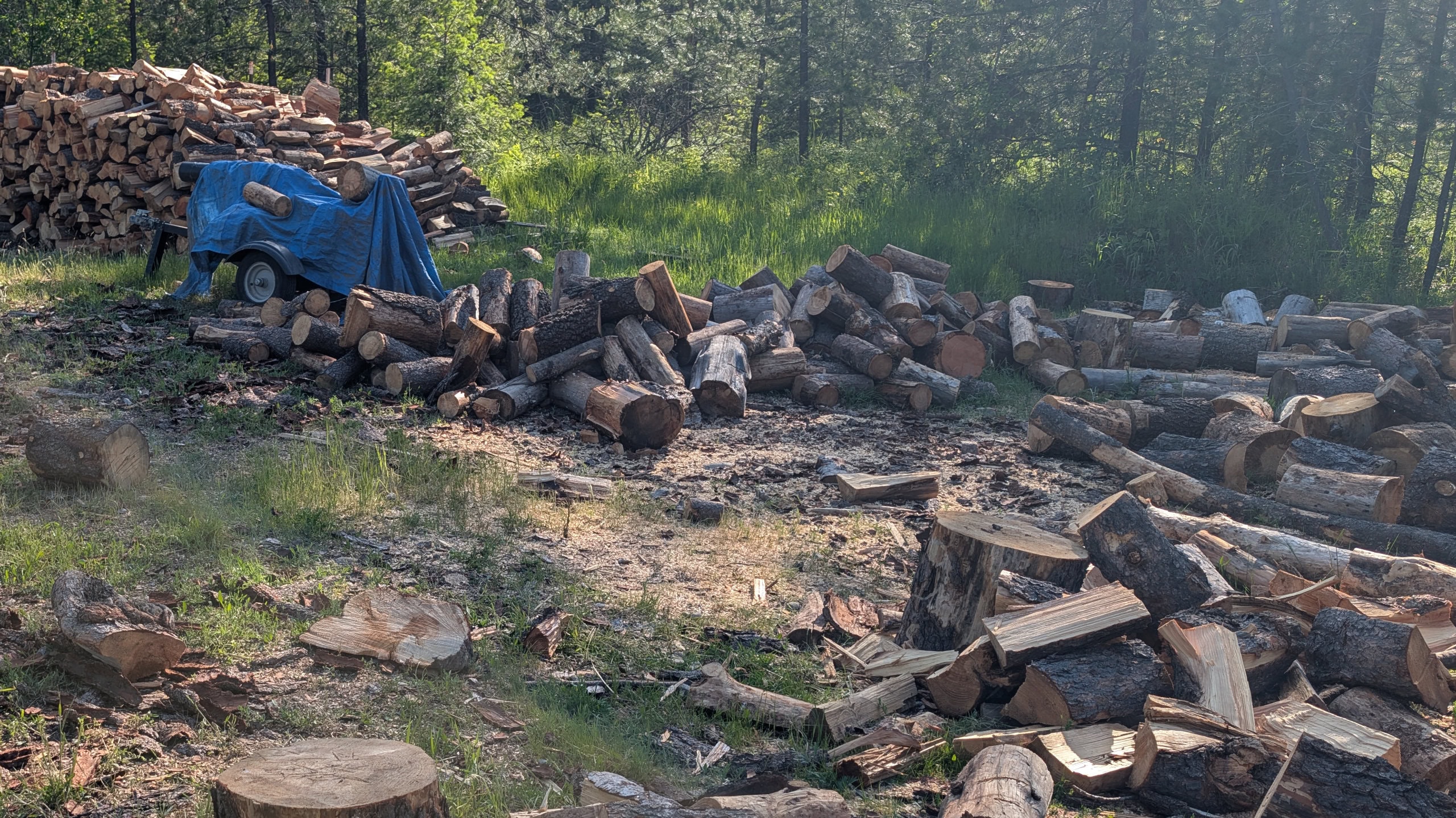 Community wood pile and wood splitter
